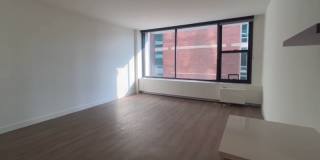 14 W chestnut Gallery 2