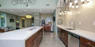 TGM Ibis Walk Gallery 14