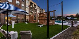 The Warner Gallery 43