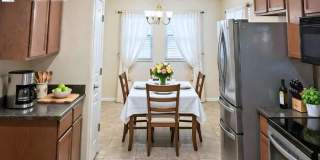 3936 East Blue Sage Road Gallery 5