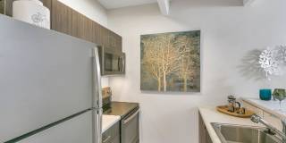 1311 Cook Gallery 14