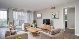 Indie Fairview Gallery 2