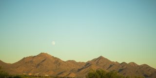 The Beverly Gallery 54