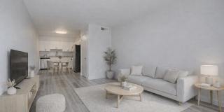 Escarlata 31 Gallery 1