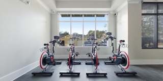 Siena on Sonterra Gallery 18