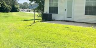 9692 Cobblebrook Dr Gallery 10