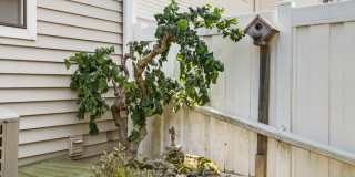 740 Lakeview Point Gallery 26