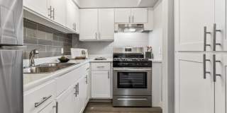 Avani North Tucson Gallery 2