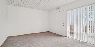 Brentwood Gallery 12