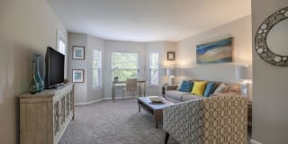 The Point at Still River Gallery 5