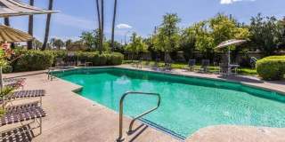 Nice Scottsdale Home 2 bedrooms 2 baths! Gallery 25