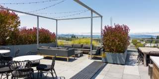 The Addison Berkeley Gallery 34