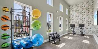 Tapestry Palmera Gallery 44