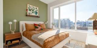 The Carson Gallery 20