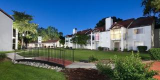 Laurel Creek Gallery 1