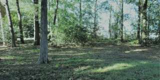 8807_HUNTER_RIDGE Gallery 27