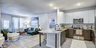 The Napier Gallery 5