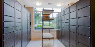 Vox on Two Gallery 30