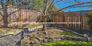 Recently Updated - Newer Appliances, Flooring, Fixtures - 3-Car Garage - Windsor Gallery 33