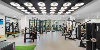 Bainbridge The Grand Gallery 14