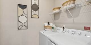 Bainbridge Avenues Walk Gallery 17