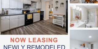 Emberly Apartments Emberly Apartments Gallery 1