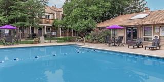 Knollwood Apartments Gallery 11