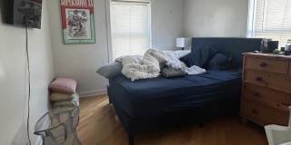 3223 N Lakewood Gallery 4