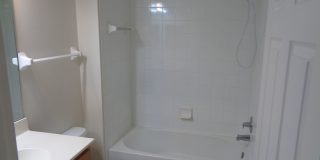 3 Bed/ 2 Bath in Victoria Park Gallery 29