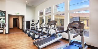 Rockrimmon Gallery 14