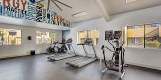 Alterra Apartments Gallery 16