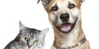 133 Eastern Avenue Gallery 37