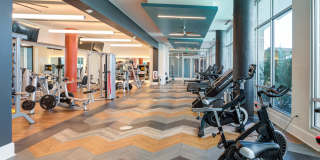 Deco Gallery 45