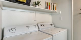 Avana Gilbert Gallery 8