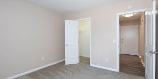 Volterra at La Mesa Gallery 55