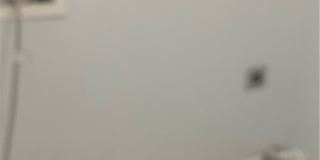 3506 Harbison Court Gallery 17