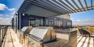 Tribeca Noma Gallery 4