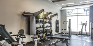 Park Lane Seaport Gallery 21