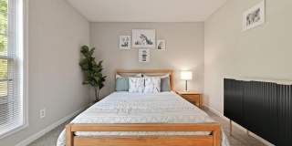 Premier Apartments Gallery 1