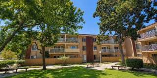 Fremont 1 bedroom is in central location near everything Fremont 1 bedroom is in central location near everything Gallery 1