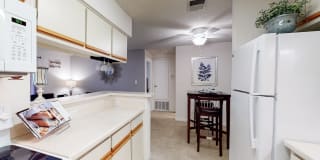 The Pointe Gallery 12