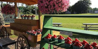 1100 Pine Avenue Gallery 18