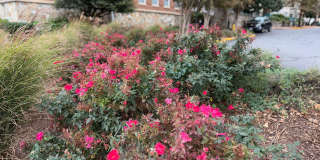 485 HARBOR SIDE Street unit: 712 Gallery 30