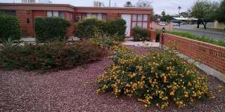 Rancho Encanto Apartments Gallery 7