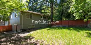 Freshly Renovated Four Bedroom Home in Bull Mountain! Gallery 29