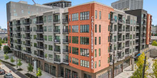 Castleberry Park Gallery 1