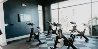 Tanager Tanager Gallery 22