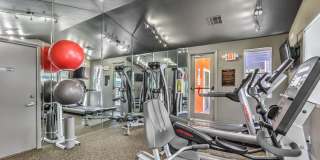 Madison at Black Mountain Gallery 3