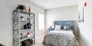 Artena Manassas Gallery 9