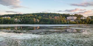 The Lodge at Ames Pond Gallery 20